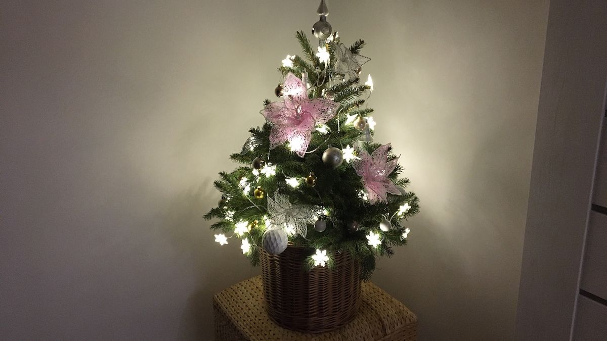 Dva vánoční stromky, které jsou v něčem jiné